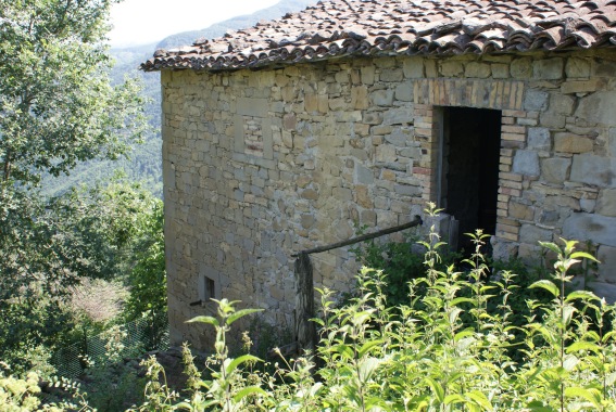 Canili: ruderi