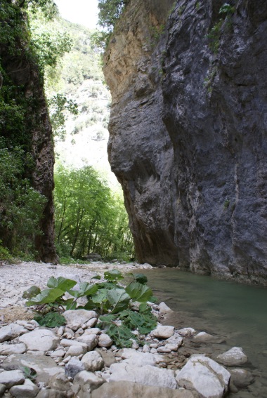 Le Gole del Fiume Salinello (Teramo)