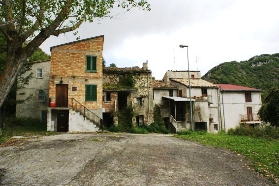 Macchia da Borea: localit� Case Cantone