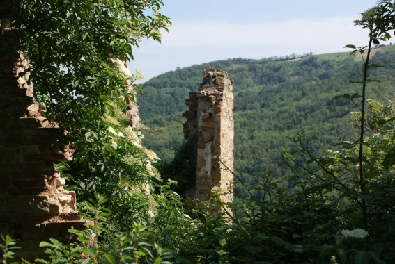 M�sseri: ruderi